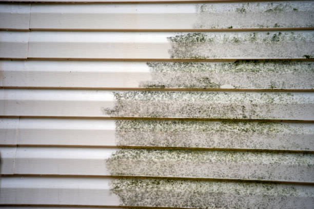Best Furniture Removal  in Senath, MO