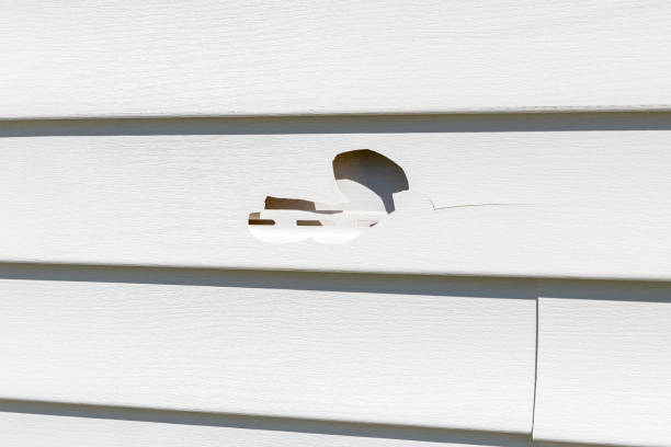 Best Same-Day Junk Removal Services  in Senath, MO