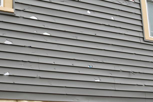 Best Hoarding Cleanup  in Senath, MO