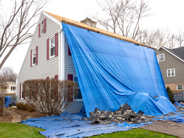 Best Hoarding Cleanup  in Senath, MO